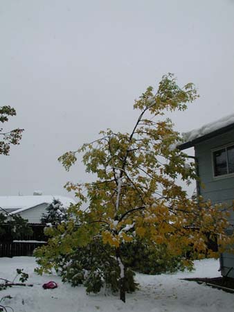 P1010014
